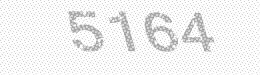 Visual security code — type the characters shown in the image