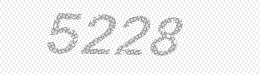 Visual security code — type the characters shown in the image